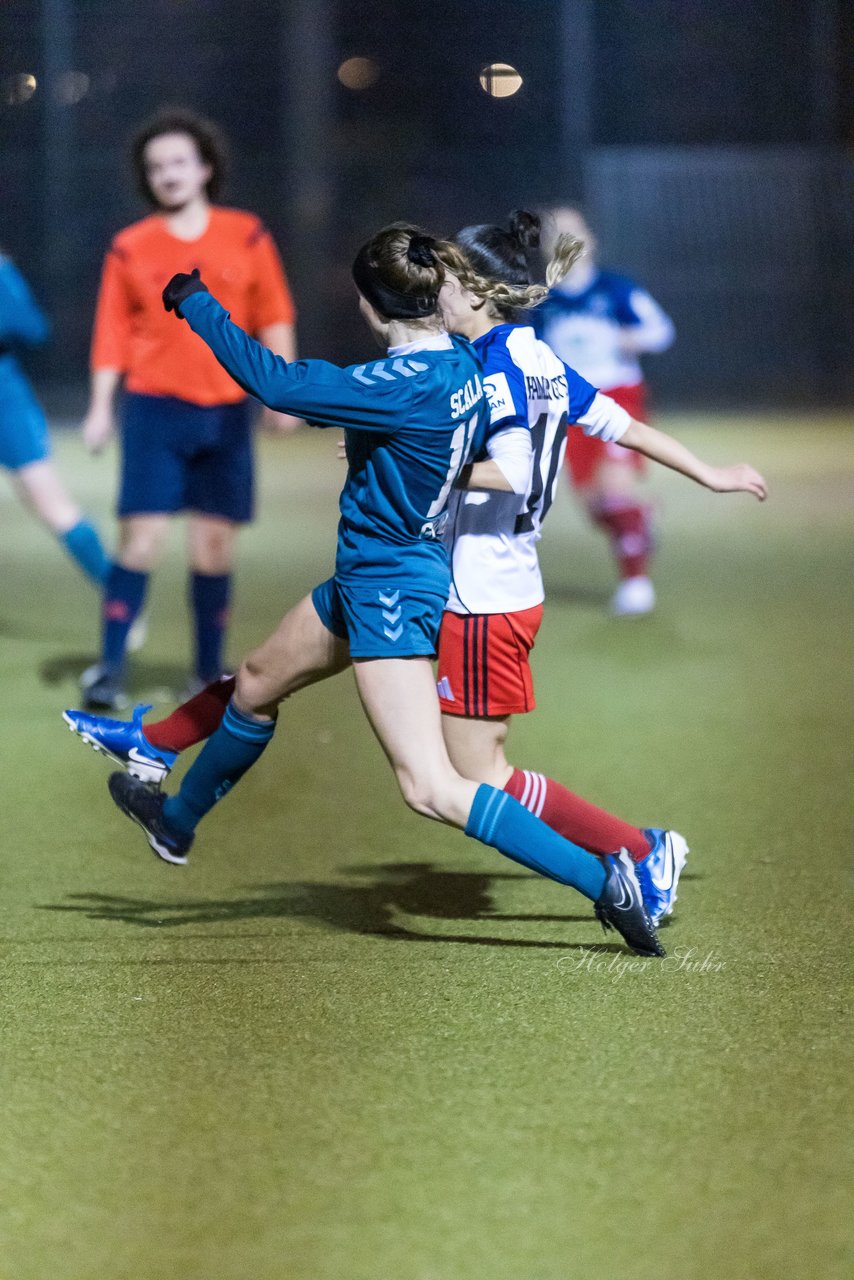 Bild 495 - F SC Alstertal-Langenhorn - Hamburger SV 3 : Ergebnis: 2:2